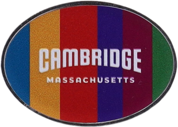 Cambridge Rainbow Lapel Pin