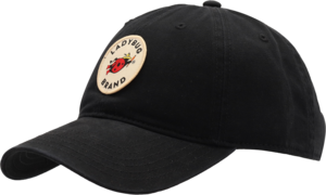 Ladybug Patch Hat