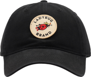 Ladybug Patch Hat