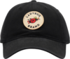 Ladybug Patch Hat image 1