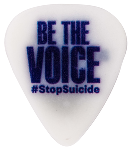 Be the Voice Guitar Pick