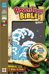 B-NIV Adventure Bible Waves