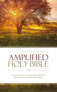 Amplified Hard Cover
