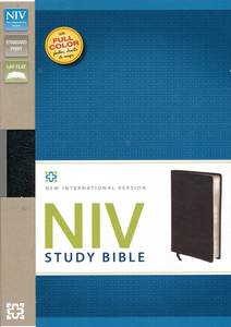 NIV Study Bible