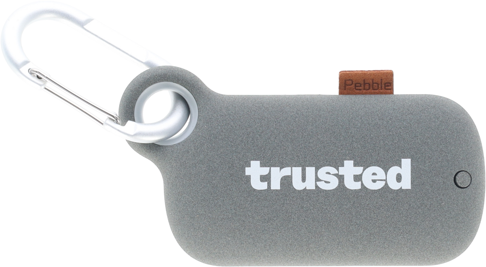 Pebble Portable Charger