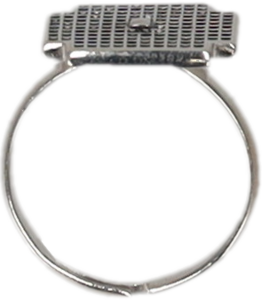 BlueBird Steel Ring